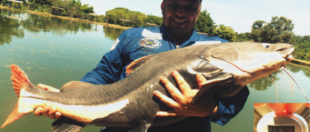 Pesqueiro Dos Gigantes (Antigo Lago Azul) – A Verdadeira Morada dos Gigantes